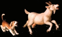 DO__35A03_135_Goat and Beagle... .jpg